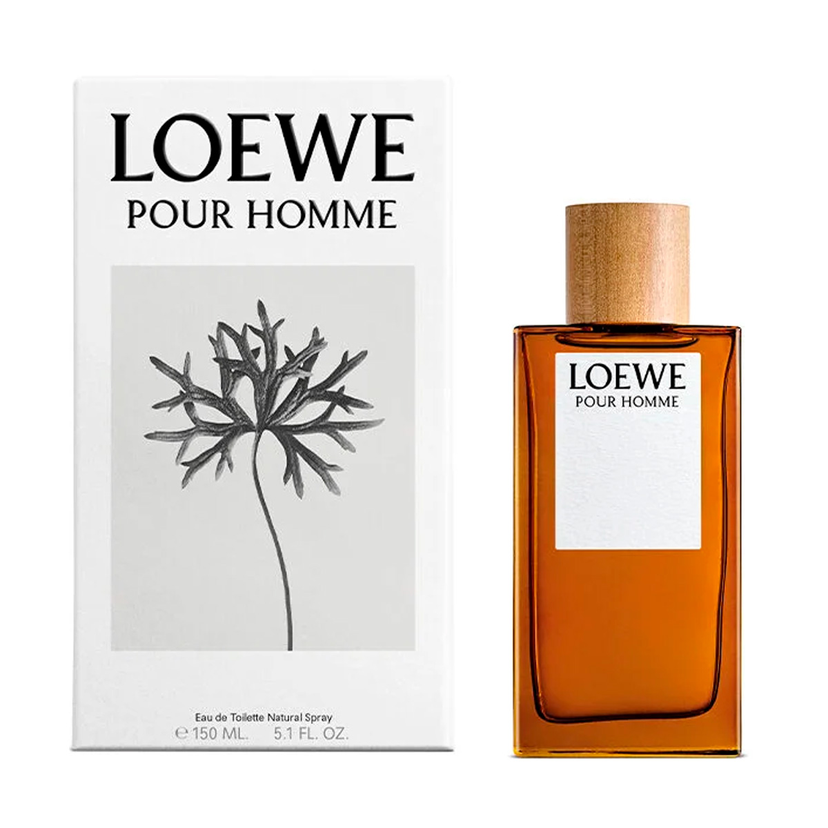 Loewe Pour Homme