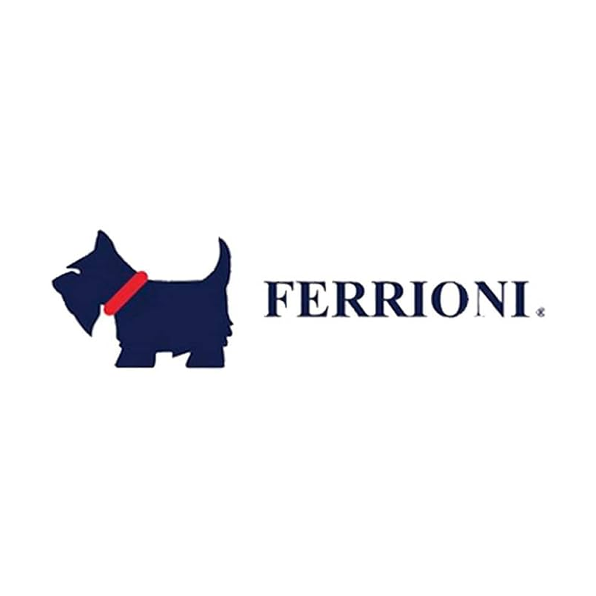 Ferrioni